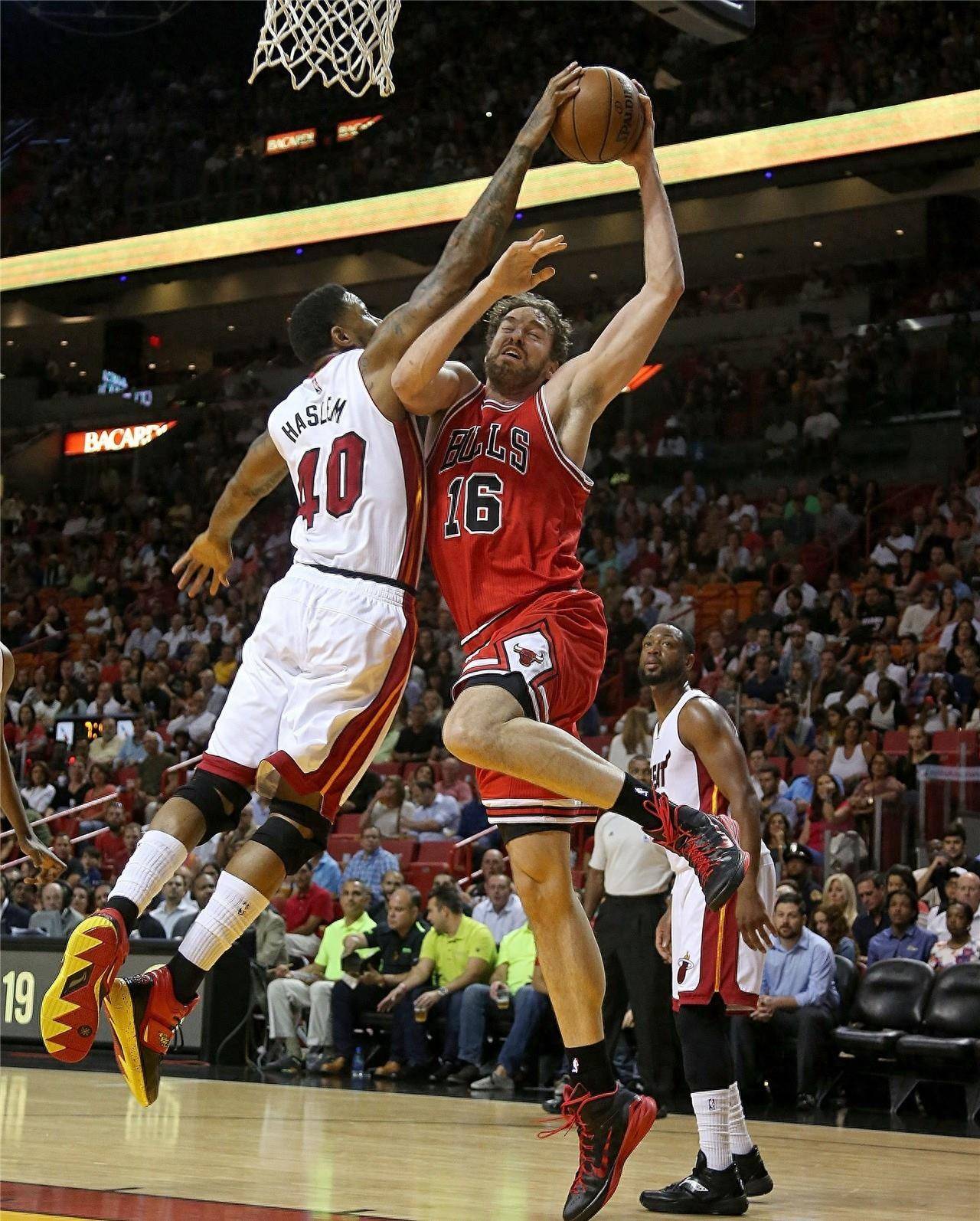 的欧洲赛事 的欧洲赛事