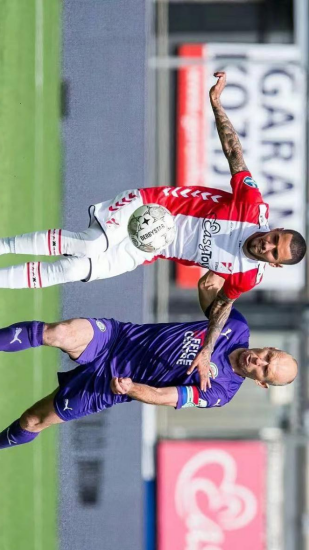 养和引进新 养和引进新